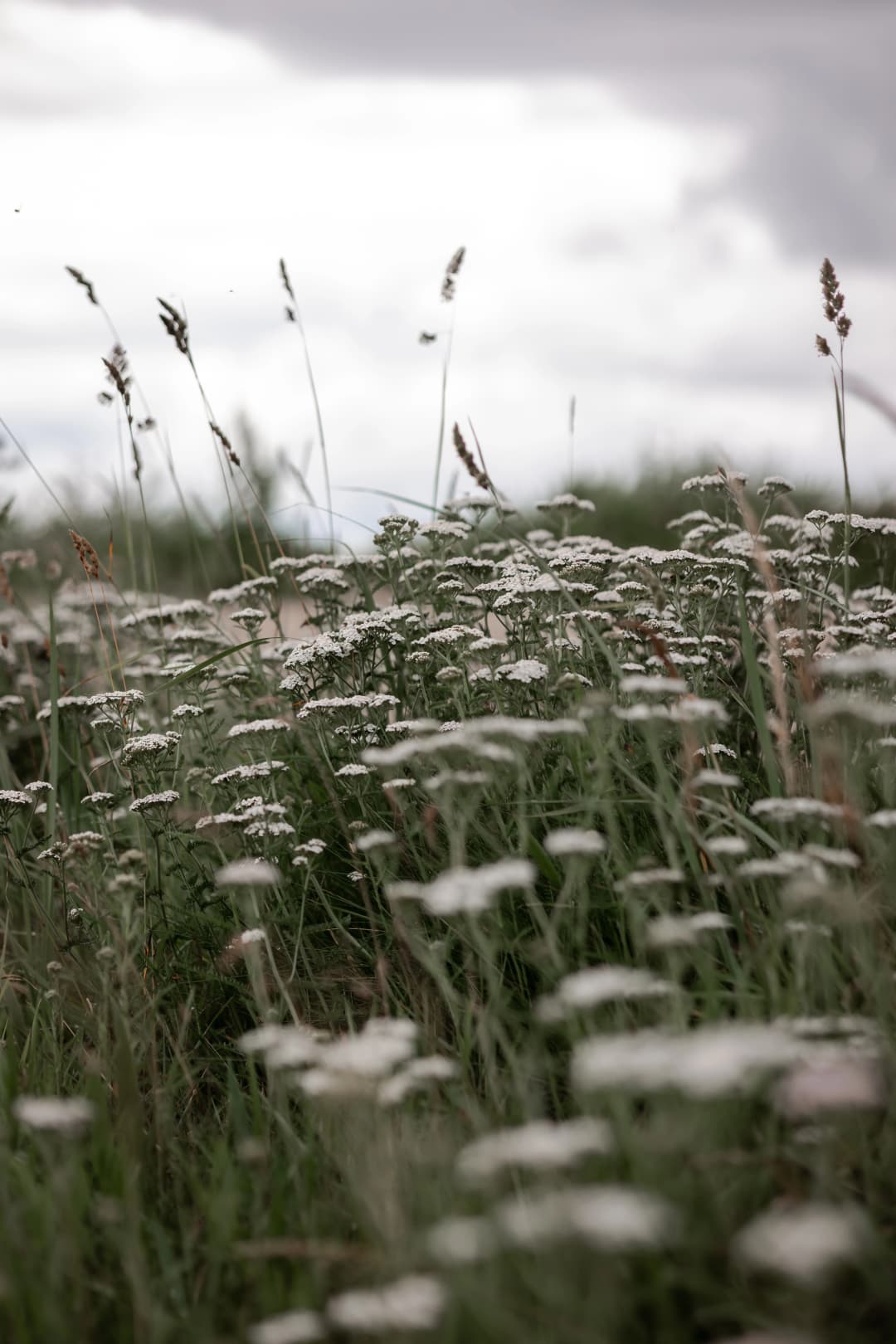 EMDR-terapi hos Susan Albertsen