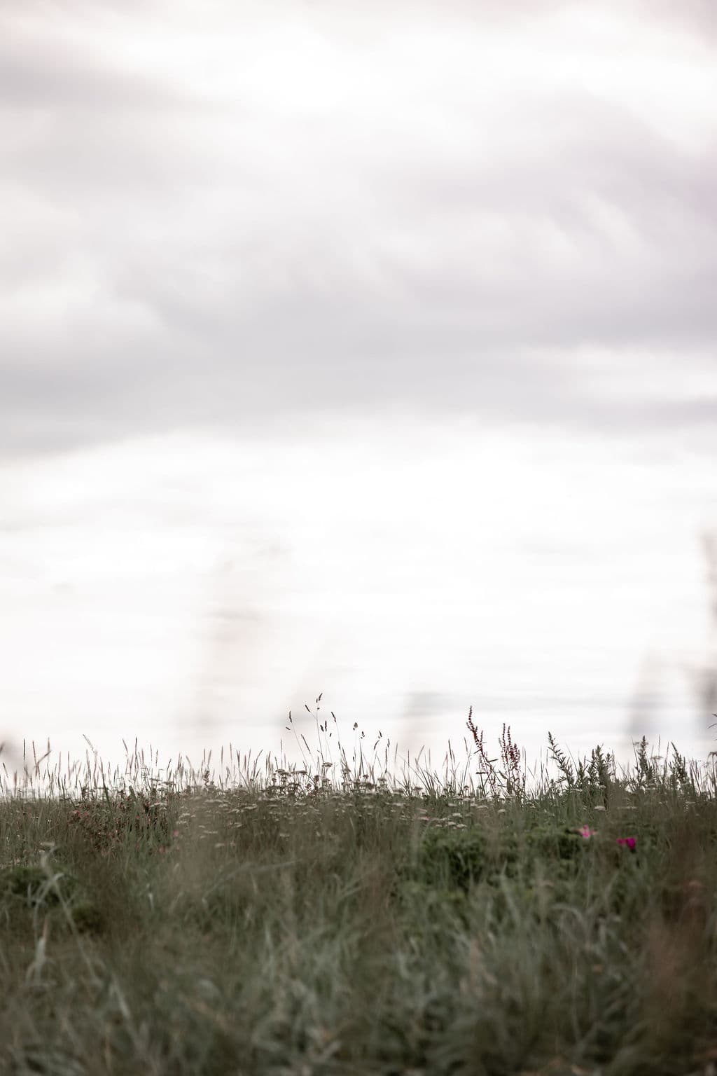 Beskrivelse af billedet