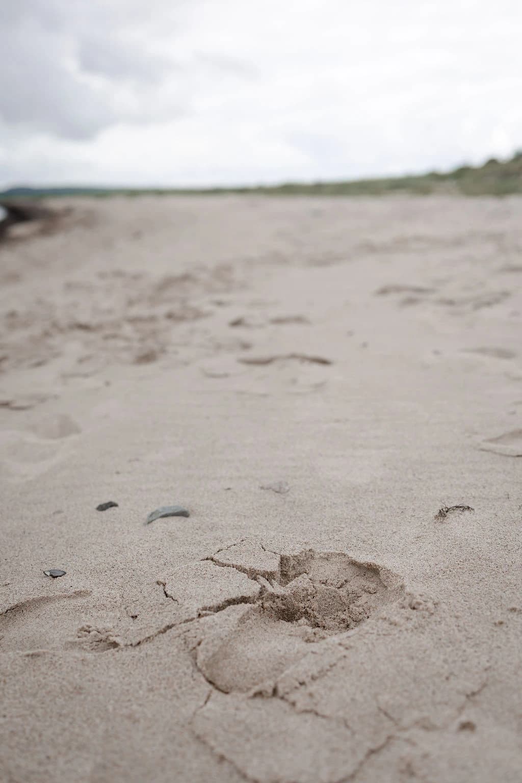 Eksamensangst behandling hos Susan Albertsen